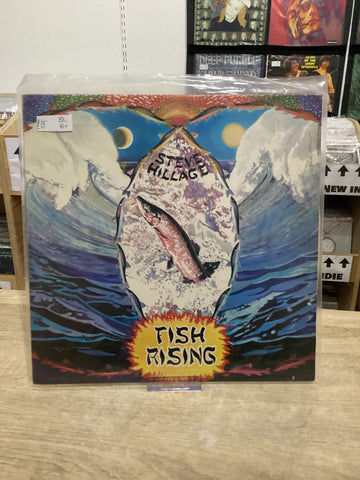 Steve Hillage - Fish Rising